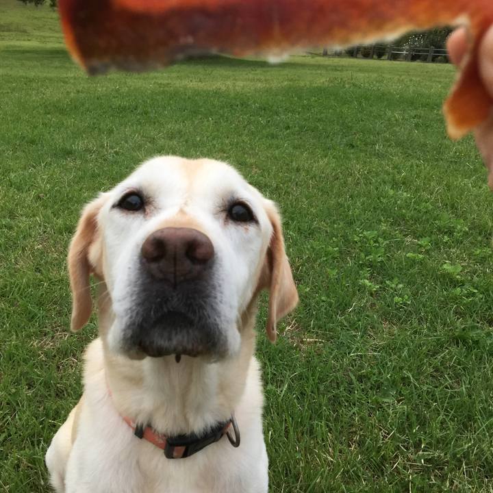 7a7db802 03a4 4dd3 b178 416999c9ae5d