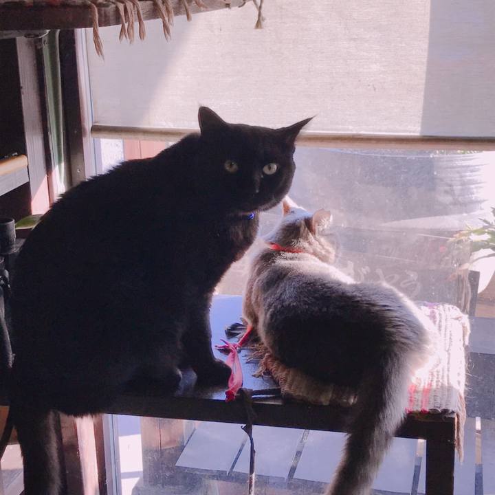 7a7de8c0 0d3c 4a3b ae88 bd8016b66031