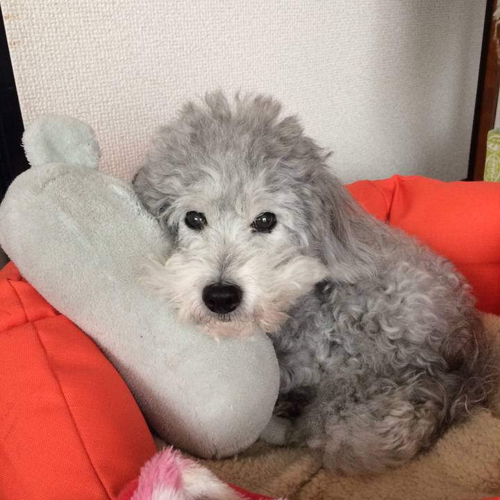 7a7df886 5f6a 4593 8d0b 59bbe05f35cc