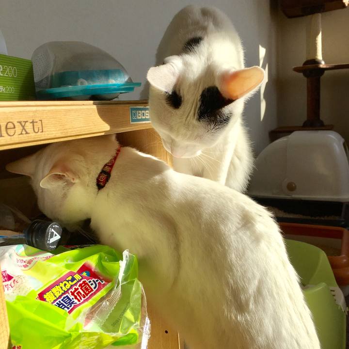 7a7e4979 b382 49a8 85bf 4efae8402cc3