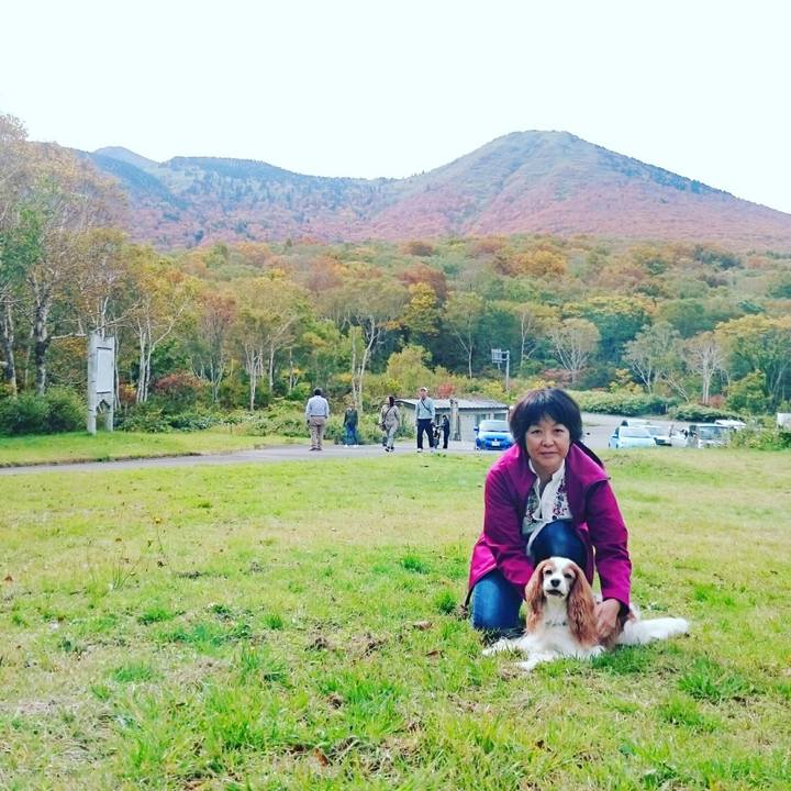 7a7e54df d382 4af0 9950 5e900ec324e7