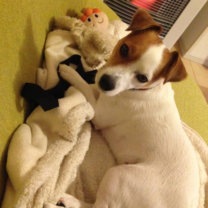 7a7e55ad 3a2f 4195 a0bd 49f39af7954e