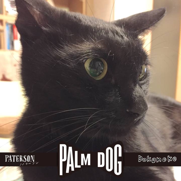 7a801e9f d0e7 43ae 9b84 609218c8ec20