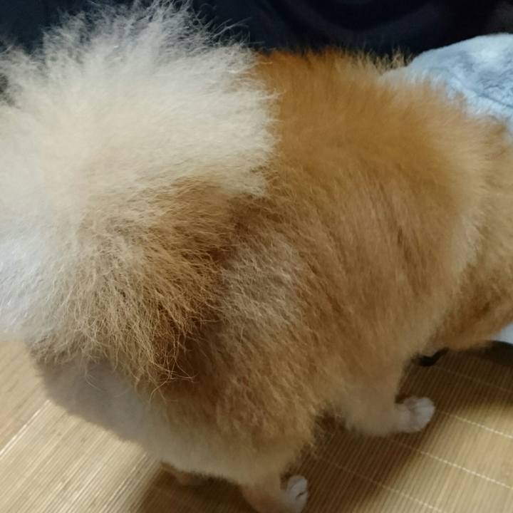 7a818d2d 92d9 45ea a5c4 87f82b51c7f5