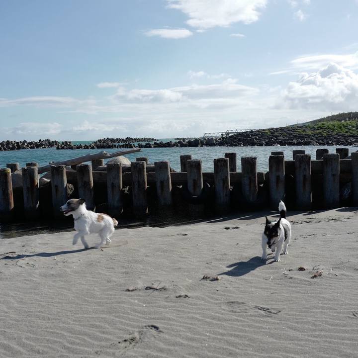 7a81b543 653a 420d aaf8 30b8fdeb3d22