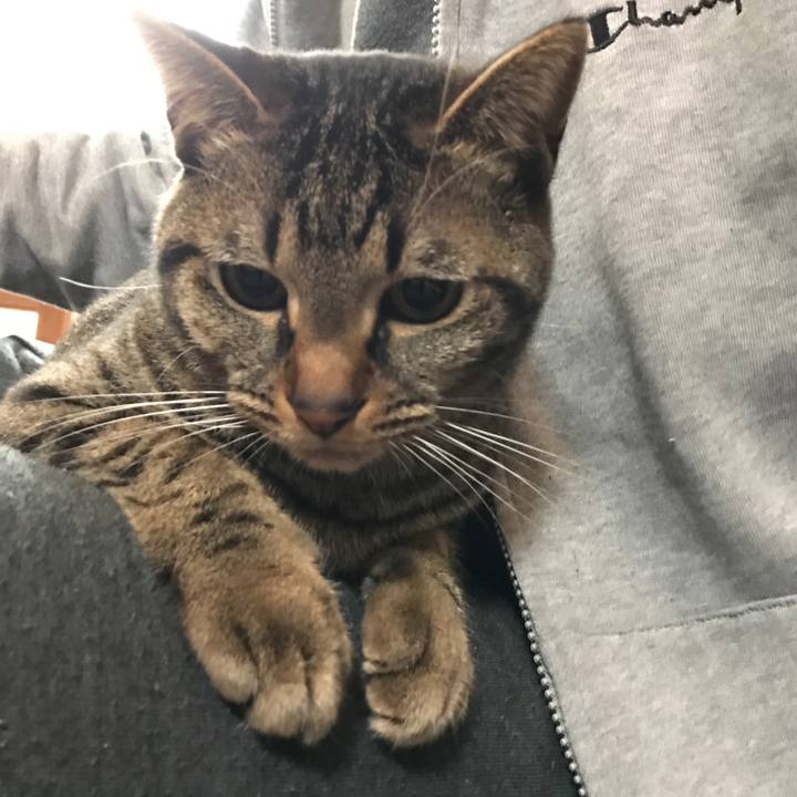 7a8218fa a8db 417a a6bf 7a482fdafc4e