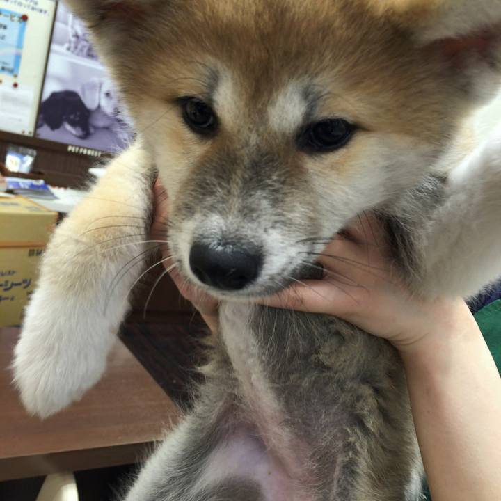 7a8220b0 e5bd 4e18 99b0 de36c681daf1