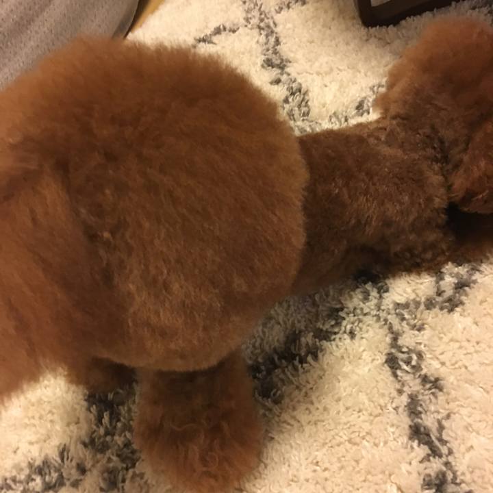 7a829c74 6a18 4935 a192 47763d3cebf4