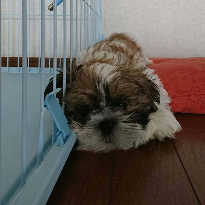 7a82cbce 1033 40f3 bae4 da566dc0a6dc