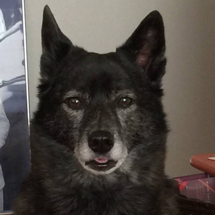 7a82f3da cb5e 4831 92c2 a64ccb7e0dbb