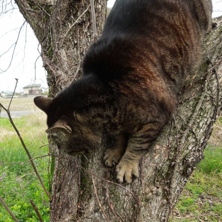 7a832651 7881 4bd6 9b90 4c414a8dc96d