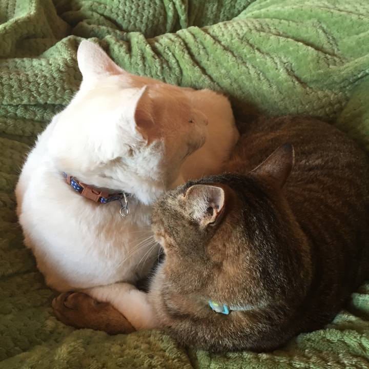 7a83a06d b425 40f8 89b1 82f0066b4fd5