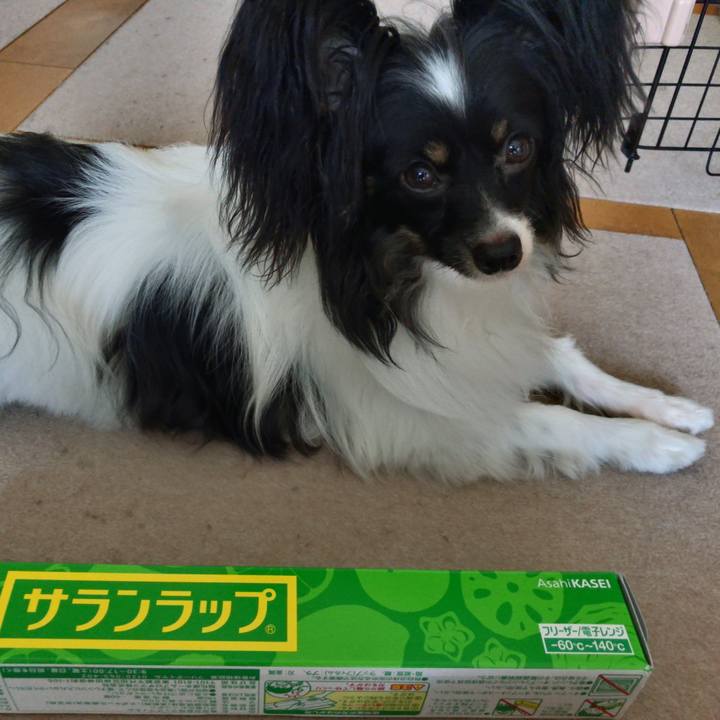 7a84466a d2c0 42a0 8c52 0f3f8b65923d