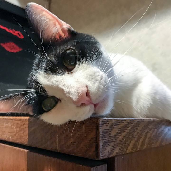 7a847575 6fd0 4d92 a0fe a4c46e2fe8d2