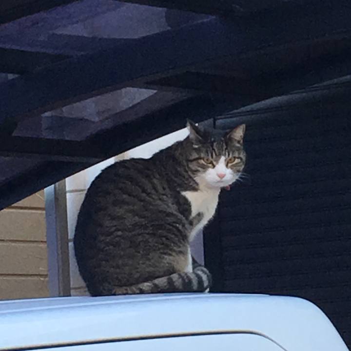 7a84a651 7f4a 48a7 bee2 f8dcf5ab9aa2