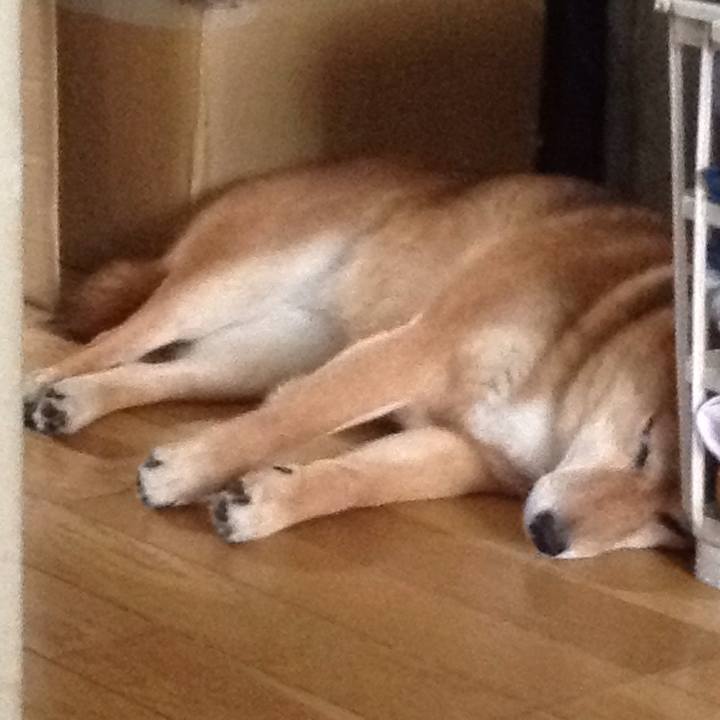 7a8543c9 90d6 46e6 9cf0 86262edea64c