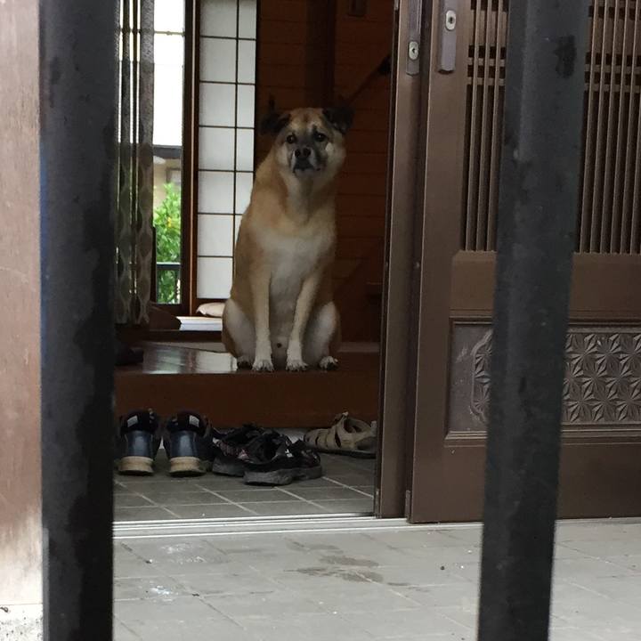 7a860023 cf95 48b4 9138 762570e2f21b