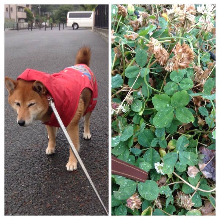 7a8608a5 b4fe 48cf 81aa e876c6f57d62