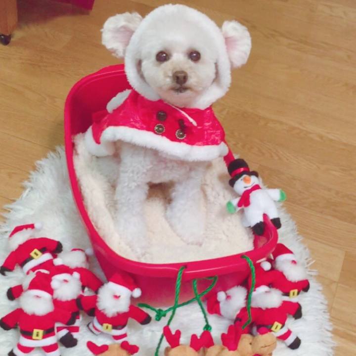 7a863d4c a4f1 430d a100 91afa4cfc0aa