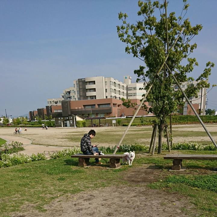 7a86634d 9a6b 412c 8c34 2409c59d354b