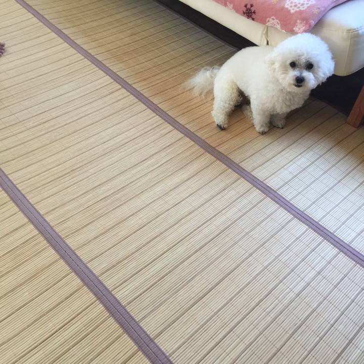 7a868b52 d8bb 4fb1 a1bb 0ae9474c47e0