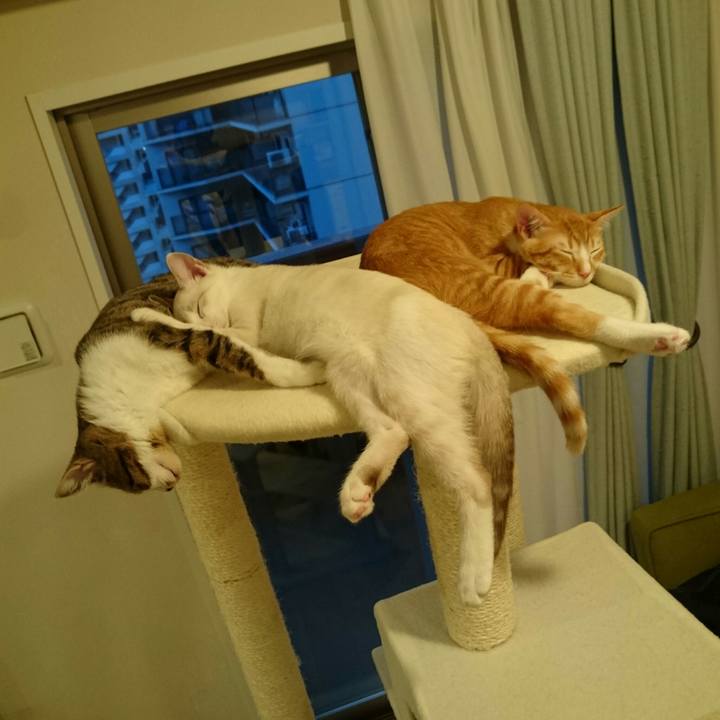 7a868e19 7df0 4c63 872b 9cbe690b25bf