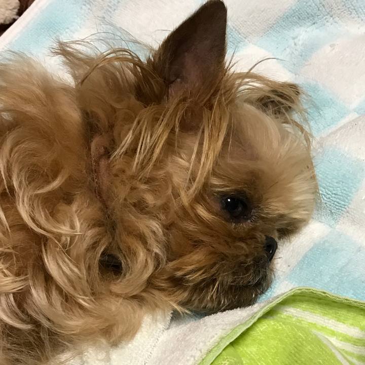 7a86aeba 60f5 44a1 ade5 f0292849ab05