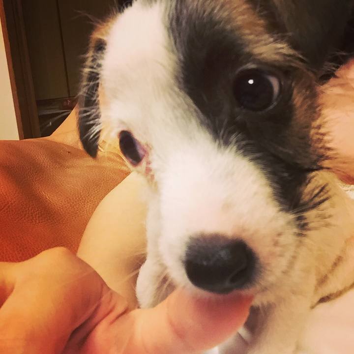 7a86b47d dff8 44c0 acf7 69a0a940fddc