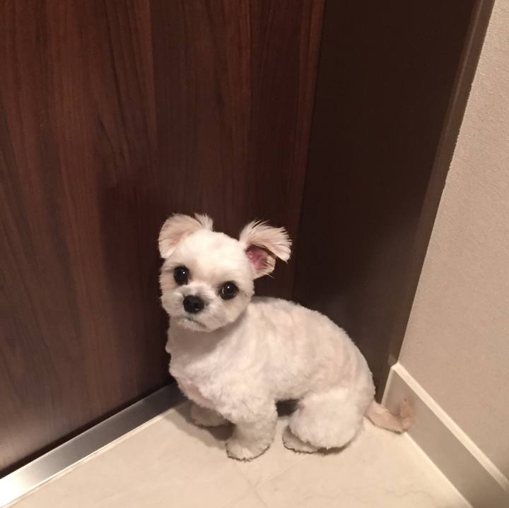 7a86fb7e 61bf 46a9 975f b5a3546f8b0a