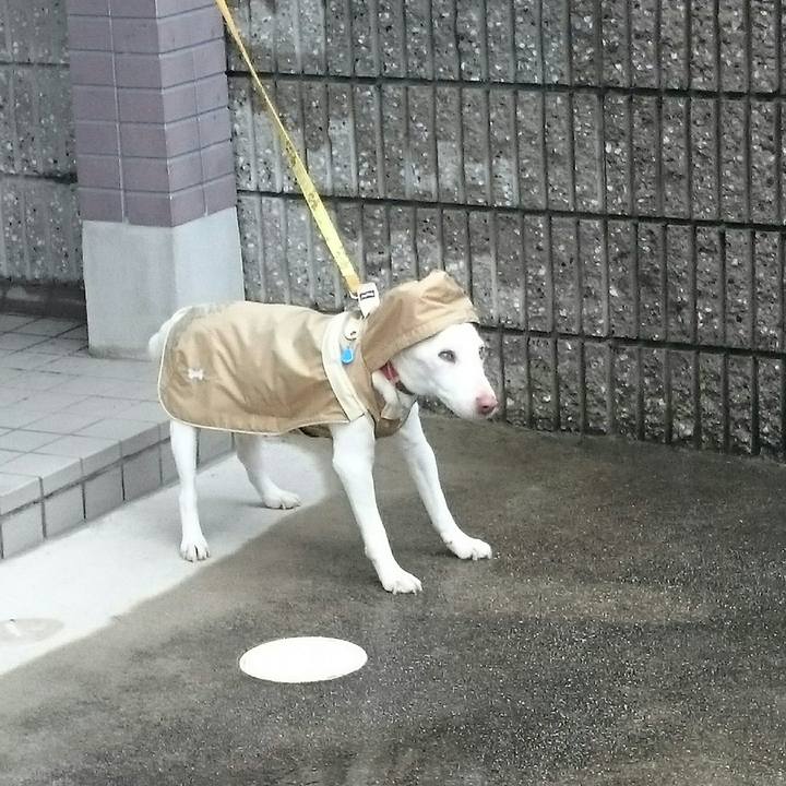 7a872890 b86e 4341 b882 f0d1317934a1