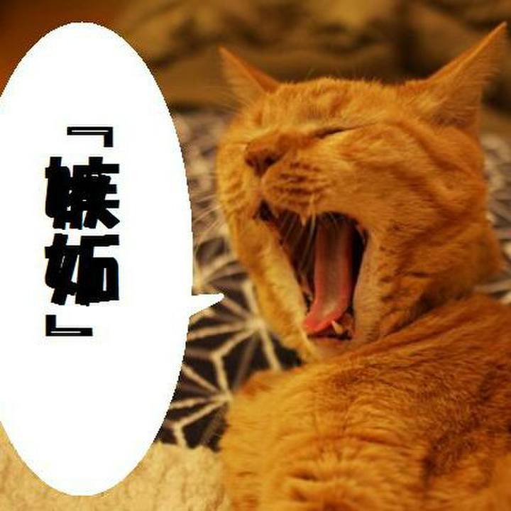 7a874aea e10b 48c6 a557 ec74ec8a9c46