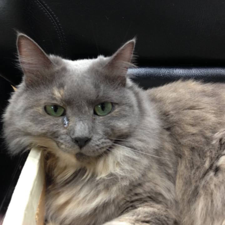 7a87e436 1aa4 497e b44f 28e175ac6975