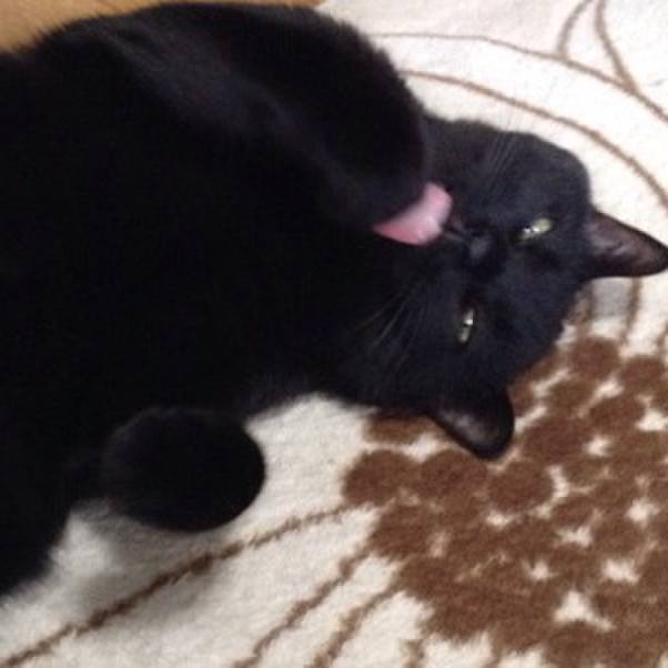 7a88049c 111a 437a afc1 f32fef9d0a37