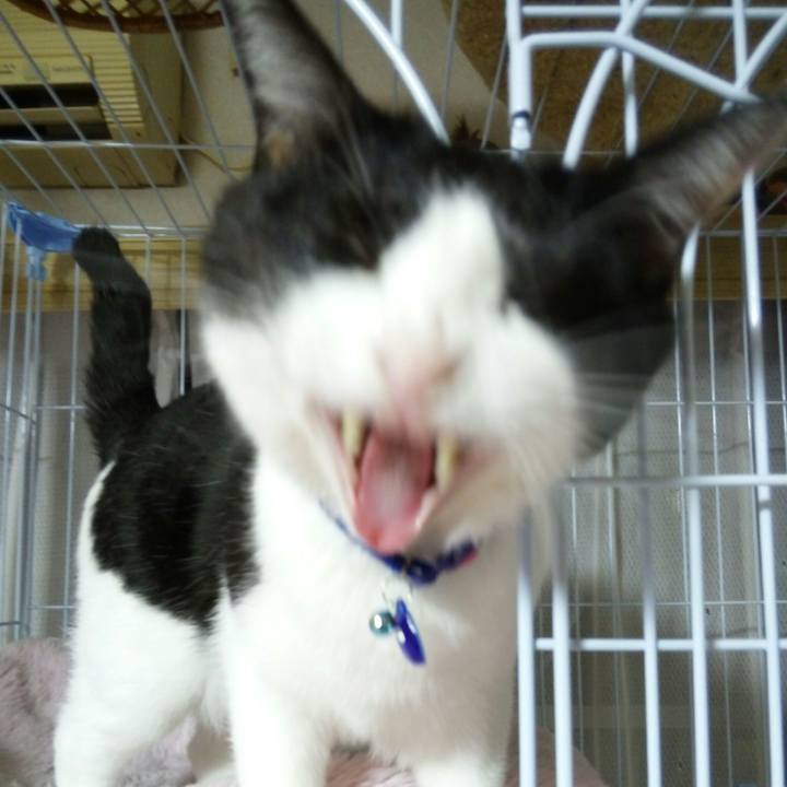 7a88b440 9e0c 446d 8127 a1a1a5f34a45