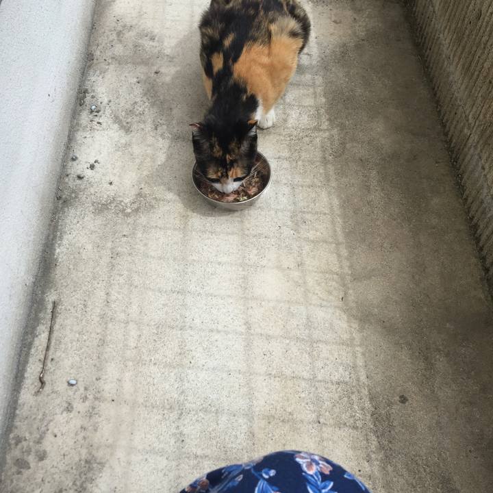 7a88cacd 210e 4da2 bd74 28c2e1bc2006