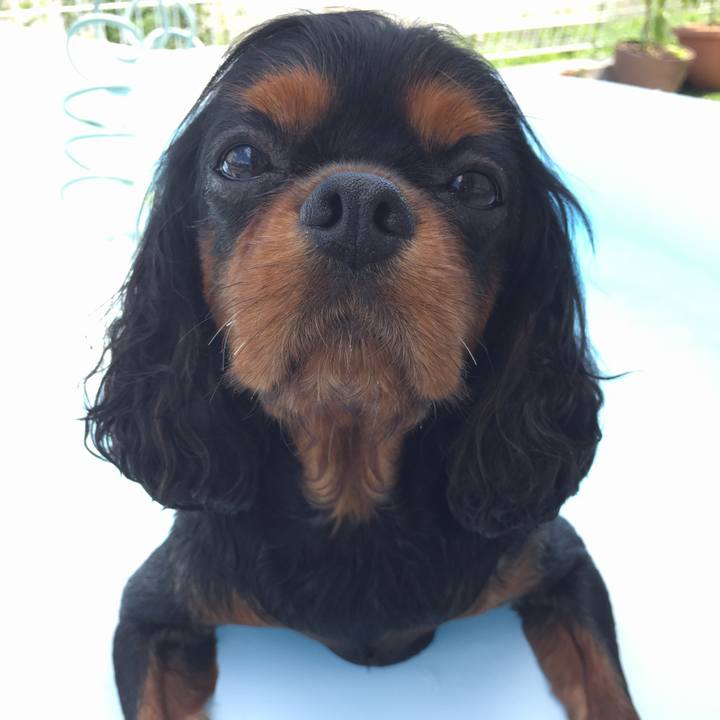 7a8942db 2329 4865 91e9 416e535c1c32