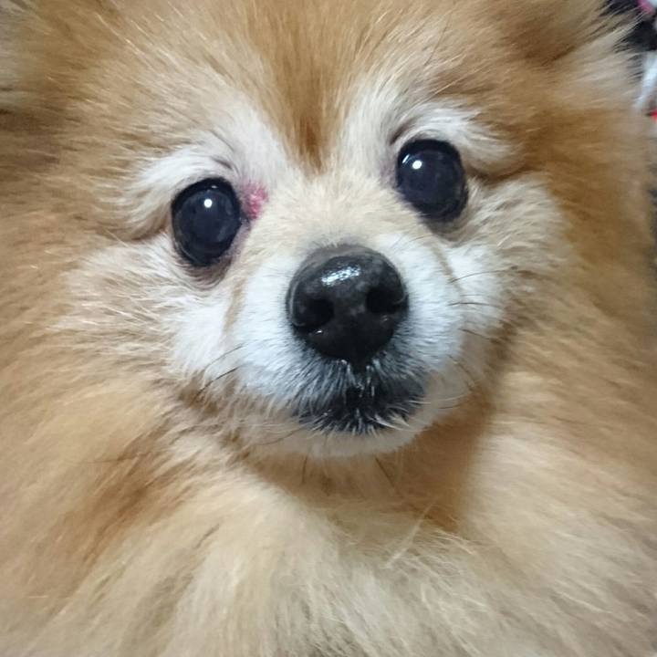 7a894aee 96ed 4bf5 9a15 f5534c878529