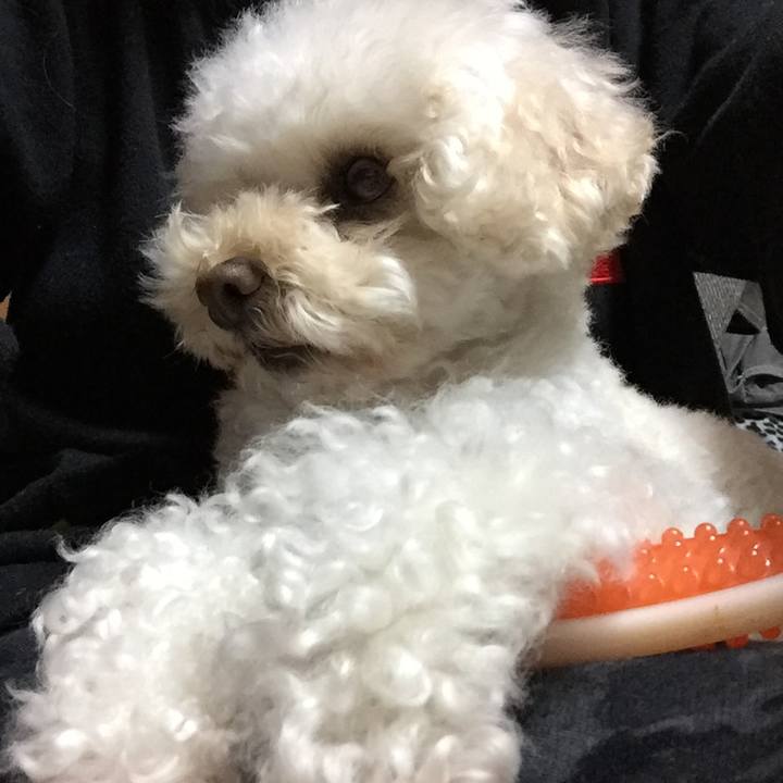 7a89cd33 ff5c 4d51 aa36 dd59edae57e9