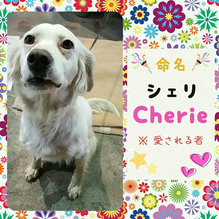 7a8a23ce 567a 47b8 b700 d674ba89a72b