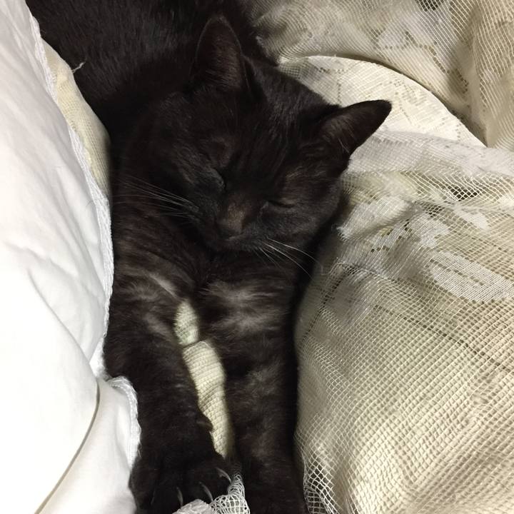 7a8a63cc ca40 4a2d adf6 cdda501886e8