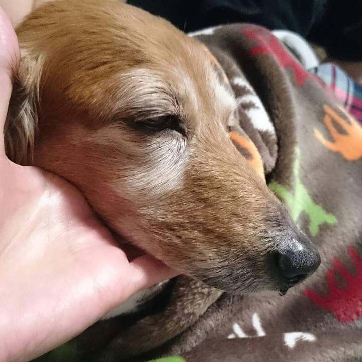 7a8b1c22 839e 4a85 8b26 093ad8e3219c