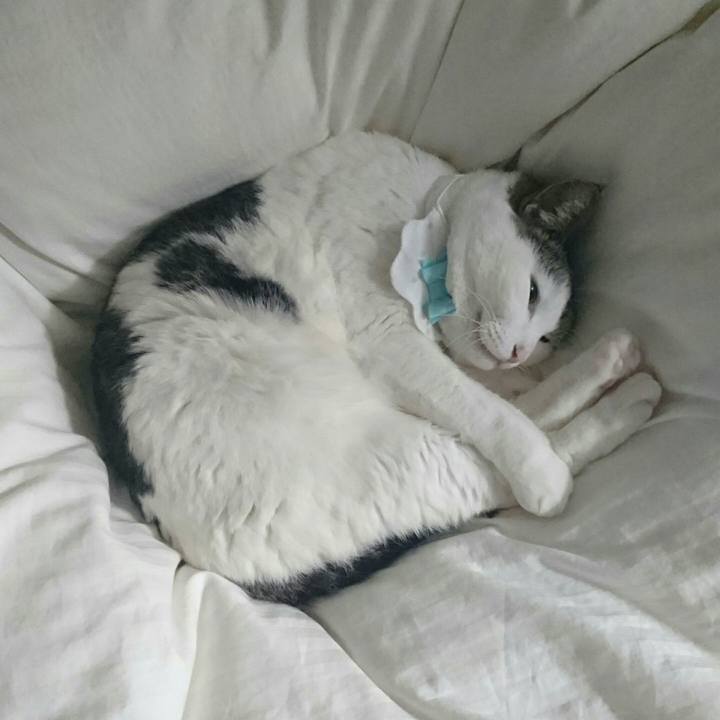 7a8b244c 98aa 47ec 804a 8b87165e7748