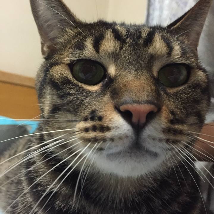 7a8b35a4 70c8 4dcc 88fe 6a9263d2b9ec