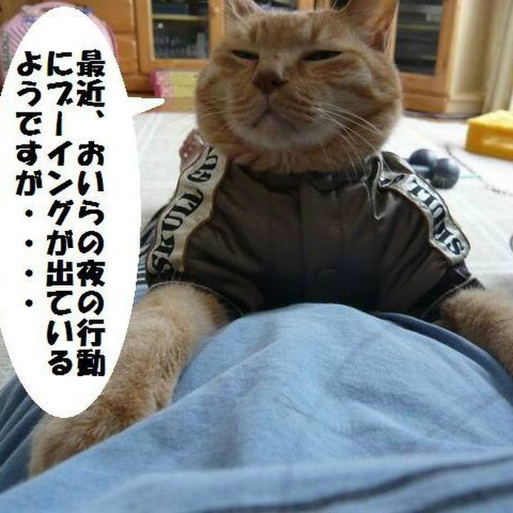 7a8b5f13 7346 4fa7 8f39 9fb112df34e3