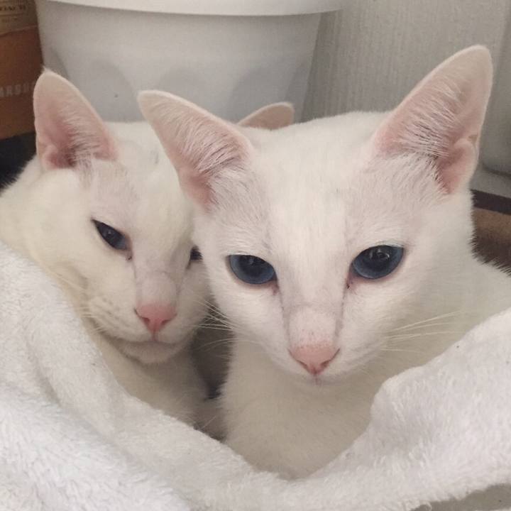 7a8b7e94 185f 4f13 8286 ad4989c98460