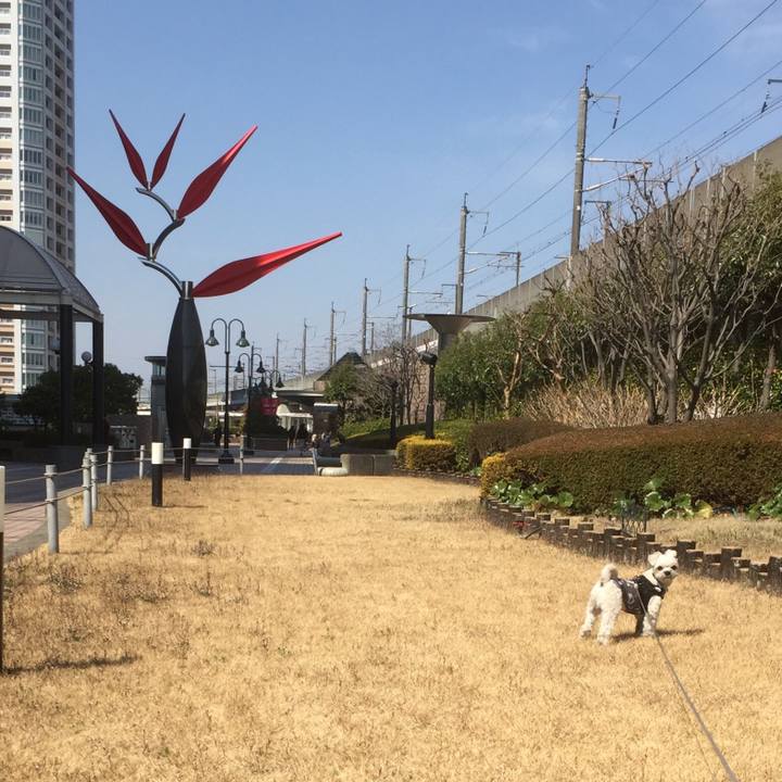 7a8c0d95 c4c2 4c35 8ffa 36690d63fe1b