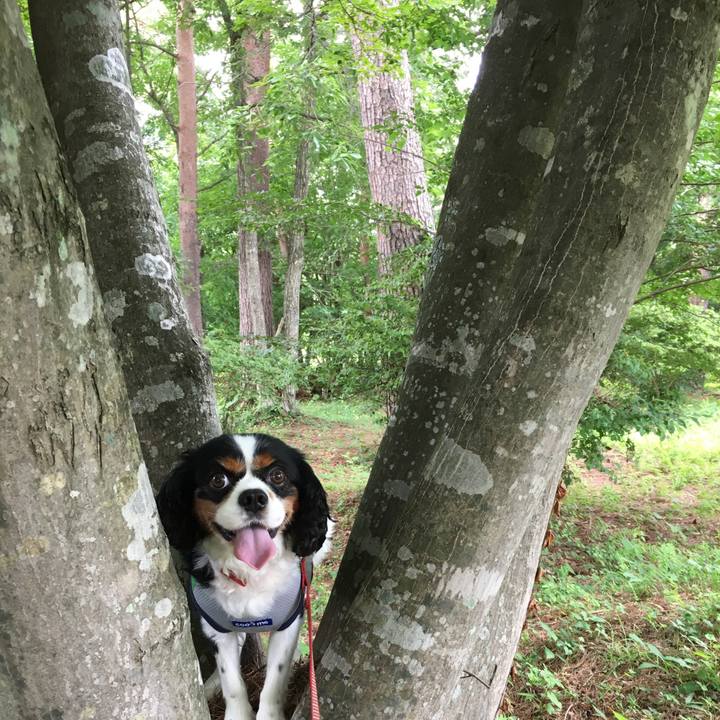 7a8d5ca3 ad6c 48fb a4ef a53c2c45d009