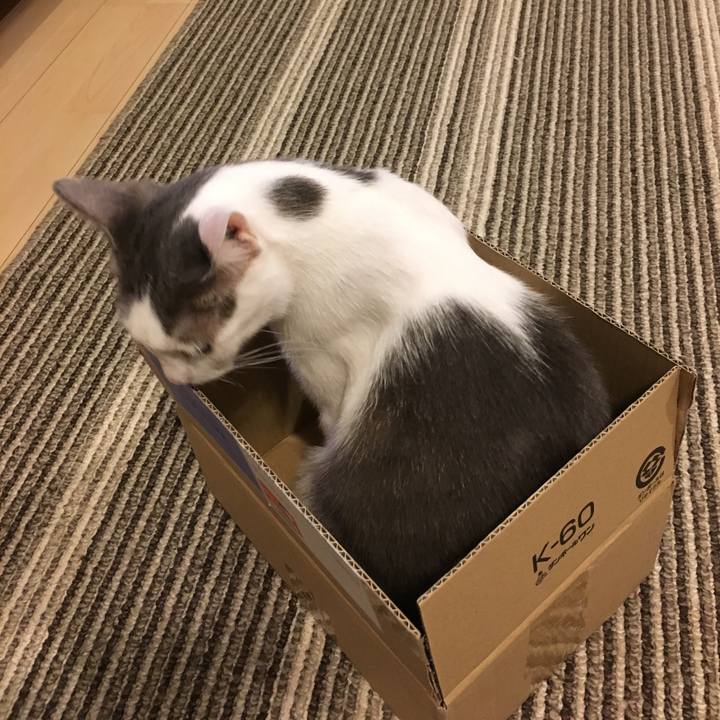 7a8d8200 b24d 4695 b3a9 dede2adcc056