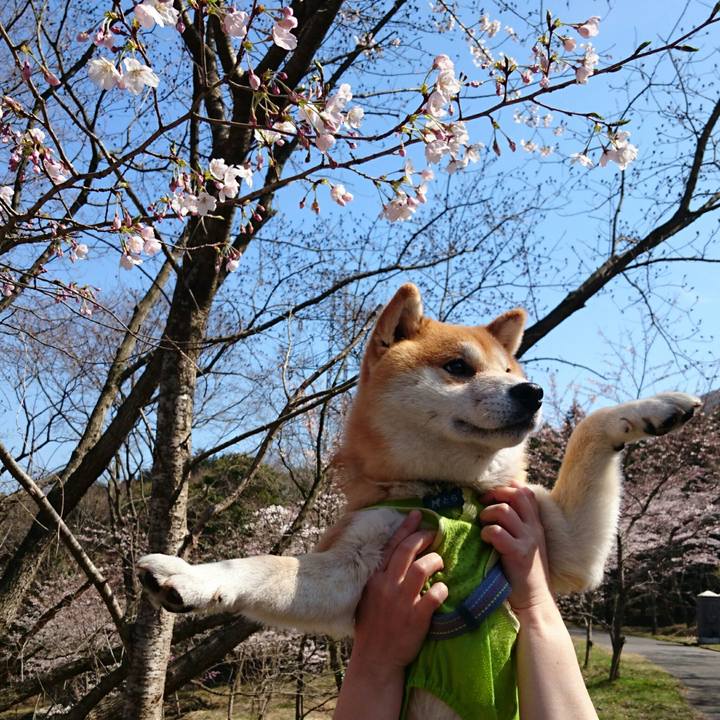 7a8dde51 f3be 441c 9ecd 774cc830792e