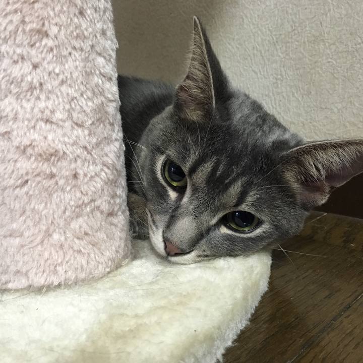 7a8dec9a 4e13 4747 89b4 8c752ab41b0f